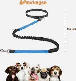Hardloopriem Hond – Honden Riem Handsfree – Hardlopen Met Hond – 160-260 Cm Blauw - Hardloopband Hond – Halsband Hond – Hondenlijn – Leiband Hond -Dog Supplies 1124x1200 4