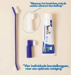 Hond En Kat Tandenborstel Verzorgingsset - Inclusief Tandpasta Met Beefsmaak - Vier Unieke Reinigingsborstels - Fluoride Vrij -Dog Supplies 1142x1200 1
