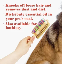 Betty's Dog Brush - Hondenborstel - Voor Elke Vacht Geschikt - Voor Glanzende Vacht - Ontklit En Verzorgt De Vacht 5 Betty's Dog Brush - Hondenborstel - Voor Elke Vacht Geschikt - Voor Glanzende Vacht - Ontklit En Verzorgt De Vacht -Dog Supplies 1156x1200