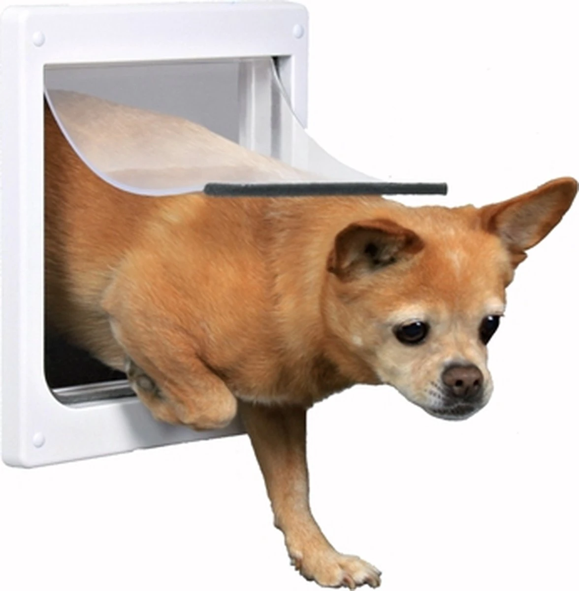 Trixie 2-Weg Hondenluik Wit - XS-S 25 X 29 CM 6 Trixie 2-Weg Hondenluik Wit - XS-S 25 X 29 CM - Afbeelding 6