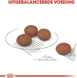 Royal Canin Ccn Digestive Care Mini - Hondenvoer - 3 Kg -Dog Supplies 1182x1200