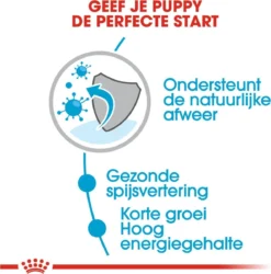 Royal Canin Shn Medium Puppy Pouch - Hondenvoer - 10 X 140 G -Dog Supplies 1184x1200 1