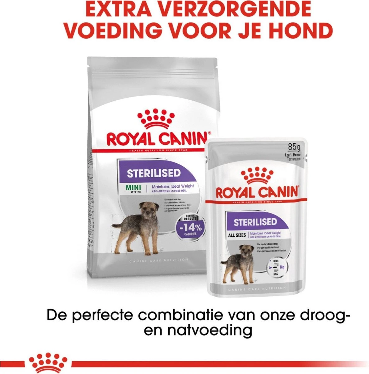 Royal Canin Ccn Sterilised Wet - Hondenvoer - 12x85 G 5 Royal Canin Ccn Sterilised Wet - Hondenvoer - 12x85 G - Afbeelding 5