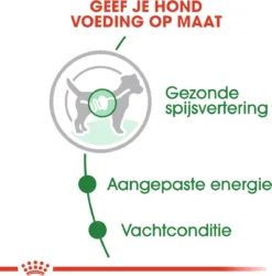 Royal Canin Shn Mini Adult Pouch - Hondenvoer - 12 X 85 G -Dog Supplies 1186x1200