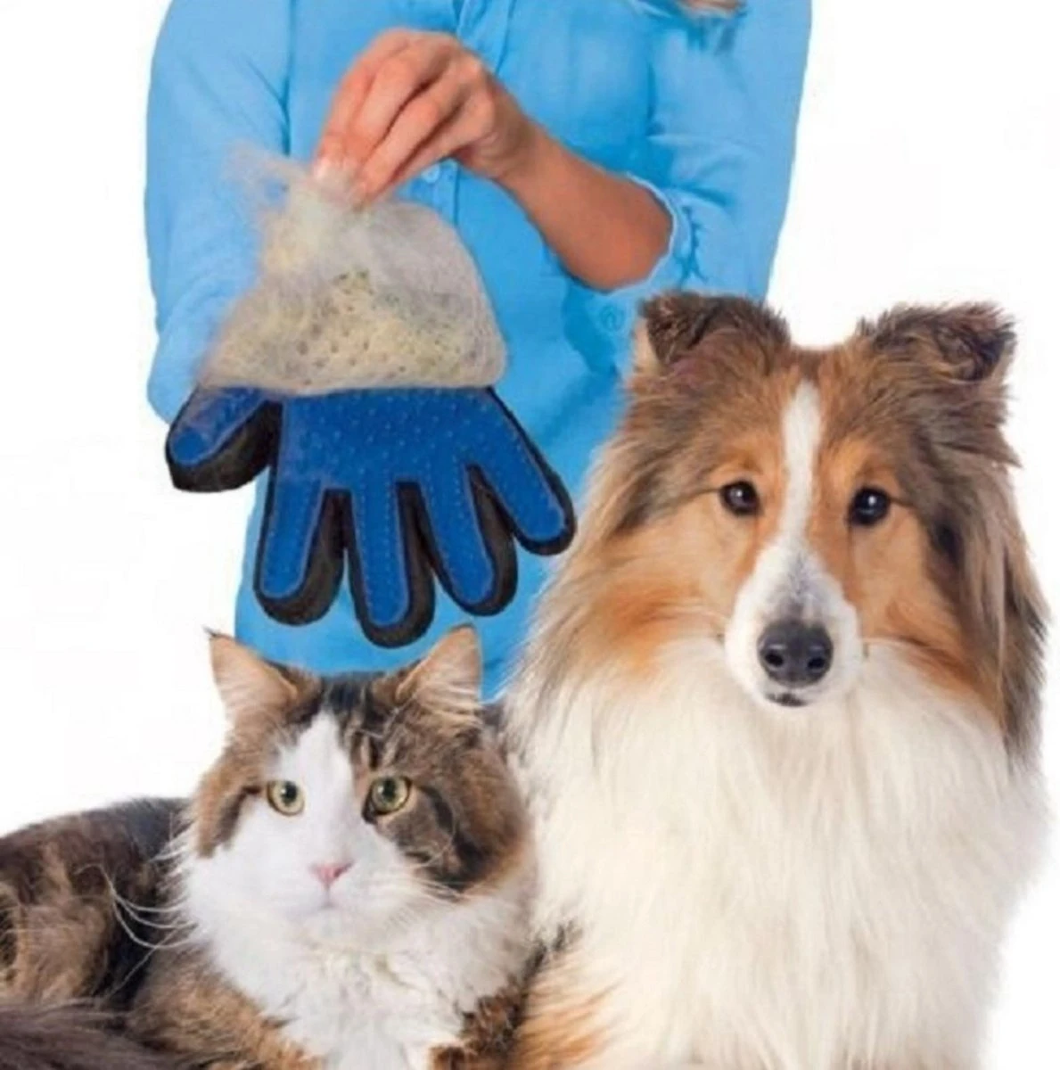 Vacht Verzorgingsborstel Voor Huisdieren - Blauw - LimitedDeals - Voor Honden Katten Konijnen Paarden - Tevens Massage Handschoen Voor Dieren! - Goed Voor De Verzorging Van De Vacht 7 Vacht Verzorgingsborstel Voor Huisdieren - Blauw - LimitedDeals - Voor Honden Katten Konijnen Paarden - Tevens Massage Handschoen Voor Dieren! - Goed Voor De Verzorging Van De Vacht - Afbeelding 7