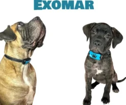 Exomar® Anti Blafband Voor Honden Blafband Anti Blaf Apparaat Blafband Zonder Schok - Diervriendelijk -Dog Supplies 1200x1003 1
