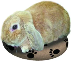 Snugglesafe Warmteschijf Hond/Kat - 24 Cm -Dog Supplies 1200x1026 5