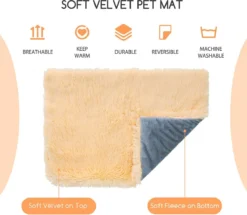 Nobleza Fluffy Benchkussen - Dierenkussen - Hondenkussen - Kattenkussen - Benchmat - Dierenmat - Hondenmat - Kattenmat - Crème - Maat L -Dog Supplies 1200x1043 3