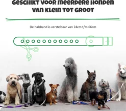 Anti Blafband Met Afstandsbediening - Blafband Voor Honden - Anti Blaf Apparaat Zonder Schok - Twee In Een Trainingshalsband 15 Anti Blafband Met Afstandsbediening - Blafband Voor Honden - Anti Blaf Apparaat Zonder Schok - Twee In Een Trainingshalsband -Dog Supplies 1200x1055