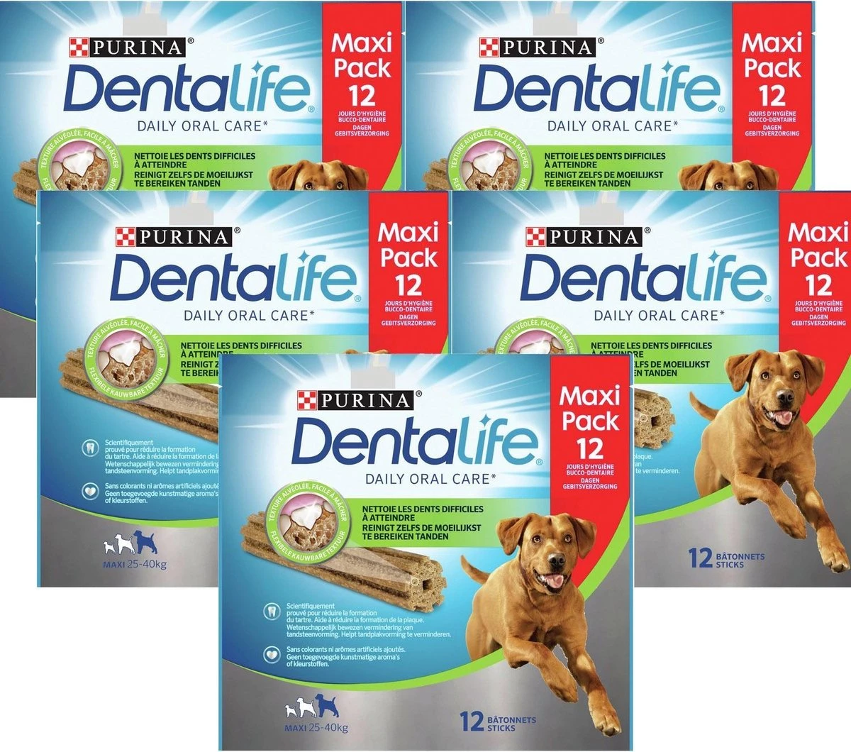 Dentalife Daily Oral Care Maxi Pack - Hondensnack L - 60 St. 8 Dentalife Daily Oral Care Maxi Pack - Hondensnack L - 60 St. - Afbeelding 8
