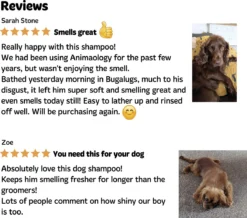 Bugalugs - Hondenshampoo - One In A Million - Alle Vachttypes - Fles Met Pompje - Vegan - 500 Ml -Dog Supplies 1200x1061