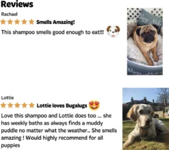 Bugalugs - Hondenshampoo - One In A Million - Alle Vachttypes - Fles Met Pompje - Vegan - 500 Ml -Dog Supplies 1200x1066