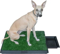 Adori Trainingsmat Gras - Hondentoilet - 50x63 Cm Multi-Color -Dog Supplies 1200x1082