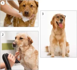 Waterblazer Hond - Hondendroger -Dog Supplies 1200x1083