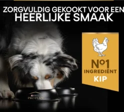 Pro Plan Medium Adult Everyay Nutrition - Honden Droogvoer - Kip - 14 Kg -Dog Supplies 1200x1087 3
