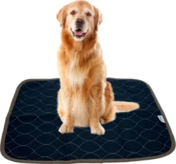 XXL Puppy Training Pad - Plasmat - Zwart - 104 X 104 Cm - Hondentoilet - Herbruikbaar - Wasbaar