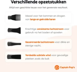 Dog Supplies -Dog Supplies 1200x1120 1