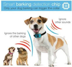 Merkloos Anti Blafband Voor Honden Blafband Anti Blaf Apparaat Blafband Zonder Schok - Diervriendelijk 11 Merkloos Anti Blafband Voor Honden Blafband Anti Blaf Apparaat Blafband Zonder Schok - Diervriendelijk -Dog Supplies 1200x1133 3