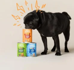 Edgard & Cooper Kip & Kalkoen Blik - Voor Volwassen Honden - Hondenvoer - 12 X 400g 11 Edgard & Cooper Kip & Kalkoen Blik - Voor Volwassen Honden - Hondenvoer - 12 X 400g -Dog Supplies 1200x1138