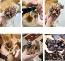 Merkloos Premium Tondeuse Voor Honden Of Katten - Dierentondeuse Oplaadbaar - Ook Bij Tenen, Ogen & Oren - Draadloze Haartrimmer 14 Merkloos Premium Tondeuse Voor Honden Of Katten - Dierentondeuse Oplaadbaar - Ook Bij Tenen, Ogen & Oren - Draadloze Haartrimmer -Dog Supplies 1200x1139 1