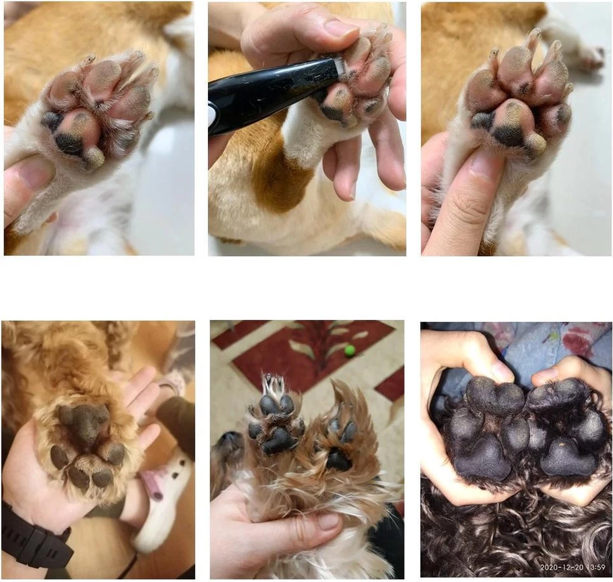 Merkloos Premium Tondeuse Voor Honden Of Katten - Dierentondeuse Oplaadbaar - Ook Bij Tenen, Ogen & Oren - Draadloze Haartrimmer 7 Merkloos Premium Tondeuse Voor Honden Of Katten - Dierentondeuse Oplaadbaar - Ook Bij Tenen, Ogen & Oren - Draadloze Haartrimmer - Afbeelding 7