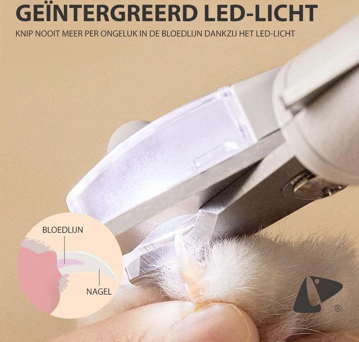 Professionele Oplaadbare LED Licht Nagelknipper, Hond, Kat, Knaagdier, Huisdieren | Dog, Cat, Nail Clipper LED Light, Rechargeable, USB Kabel | Nagelvijl - Nagelschaar Met Vijl, Opvang Van Nagels | Vergrootglas 5x | Extreem Veilig & 100% Effectief 7 Professionele Oplaadbare LED Licht Nagelknipper, Hond, Kat, Knaagdier, Huisdieren | Dog, Cat, Nail Clipper LED Light, Rechargeable, USB Kabel | Nagelvijl - Nagelschaar Met Vijl, Opvang Van Nagels | Vergrootglas 5x | Extreem Veilig & 100% Effectief - Afbeelding 7