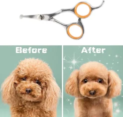 Merkloos Premium Gebogen Trimschaar Honden - Huisdier Trimmen - Hoofd, Poten Ogen & Oren - Kat & Hond Knippen - Veilige Schaar 13 Merkloos Premium Gebogen Trimschaar Honden - Huisdier Trimmen - Hoofd, Poten Ogen & Oren - Kat & Hond Knippen - Veilige Schaar -Dog Supplies 1200x1144