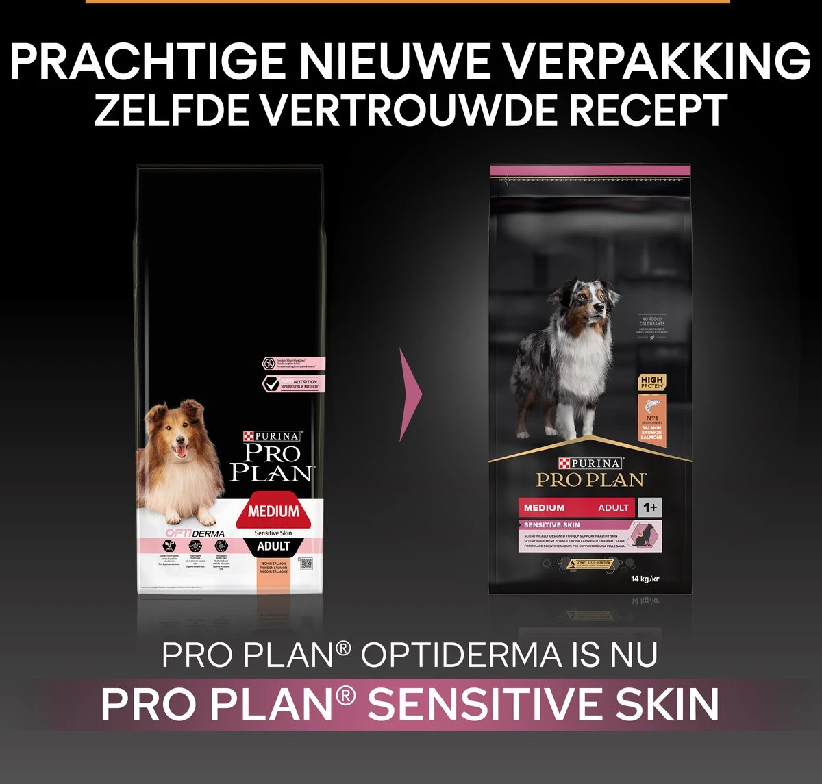 Pro Plan Medium & Large Adult 7+ (Senior) Sensitive Skin - Honden Droogvoer - Zalm - 14 Kg 3 Pro Plan Medium & Large Adult 7+ (Senior) Sensitive Skin - Honden Droogvoer - Zalm - 14 Kg - Afbeelding 3