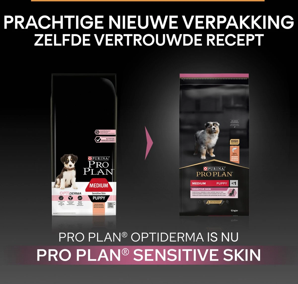 Pro Plan Medium Puppy Sensitive Skin - Honden Droogvoer - Zalm - 12 Kg 5 Pro Plan Medium Puppy Sensitive Skin - Honden Droogvoer - Zalm - 12 Kg - Afbeelding 5