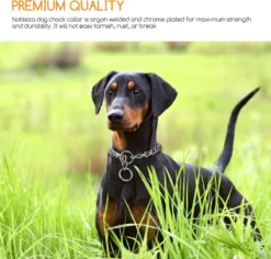 Nobleza Slipketting Hond - Sliphalsband - Trainingshalsband - Hondenketting - Maat L -Dog Supplies 1200x1146 3