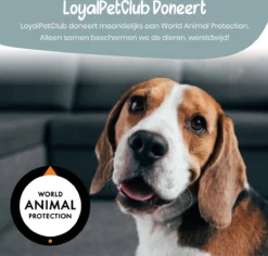 Loyalpetclub® Professionele 2-in-1 Hondentondeuse Voor Dikke Vacht – Draadloze Honden Tondeuse & Hondentrimmer – Stille Tondeuse Katten & Honden Trimset - Inclusief Opbergtasje -Dog Supplies 1200x1148 4