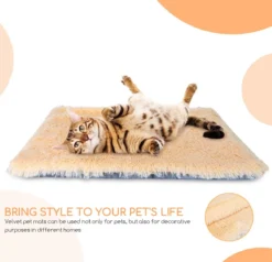 Nobleza Fluffy Benchkussen - Dierenkussen - Hondenkussen - Kattenkussen - Benchmat - Dierenmat - Hondenmat - Kattenmat - Crème - Maat L -Dog Supplies 1200x1156 3