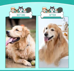 Nobleza 3 Delige Hondenborstel Set – Hondenkam - Kattenkam - Borstels – Dierverzorging - Dierenverzorging - Blauw 10 Nobleza 3 Delige Hondenborstel Set – Hondenkam - Kattenkam - Borstels – Dierverzorging - Dierenverzorging - Blauw -Dog Supplies 1200x1157 1