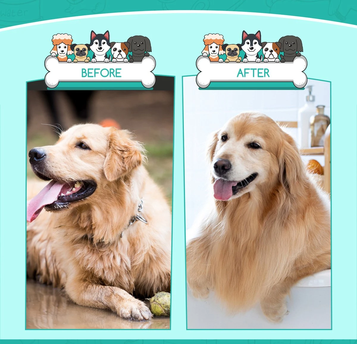 Nobleza 3 Delige Hondenborstel Set – Hondenkam - Kattenkam - Borstels – Dierverzorging - Dierenverzorging - Blauw 5 Nobleza 3 Delige Hondenborstel Set – Hondenkam - Kattenkam - Borstels – Dierverzorging - Dierenverzorging - Blauw - Afbeelding 5