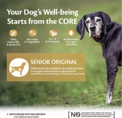 Wellness Core Grain Free Dog Senior Original Kalkoen&Kip - Hondenvoer - 10 Kg -Dog Supplies 1200x1161 8