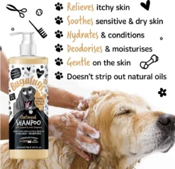 Bugalugs - Hondenshampoo Oatmeal - Met Kokos En Limoen Geur - Alle Vachttypes - Fles Met Pompje - Vegan - 500 Ml -Dog Supplies 1200x1163 5