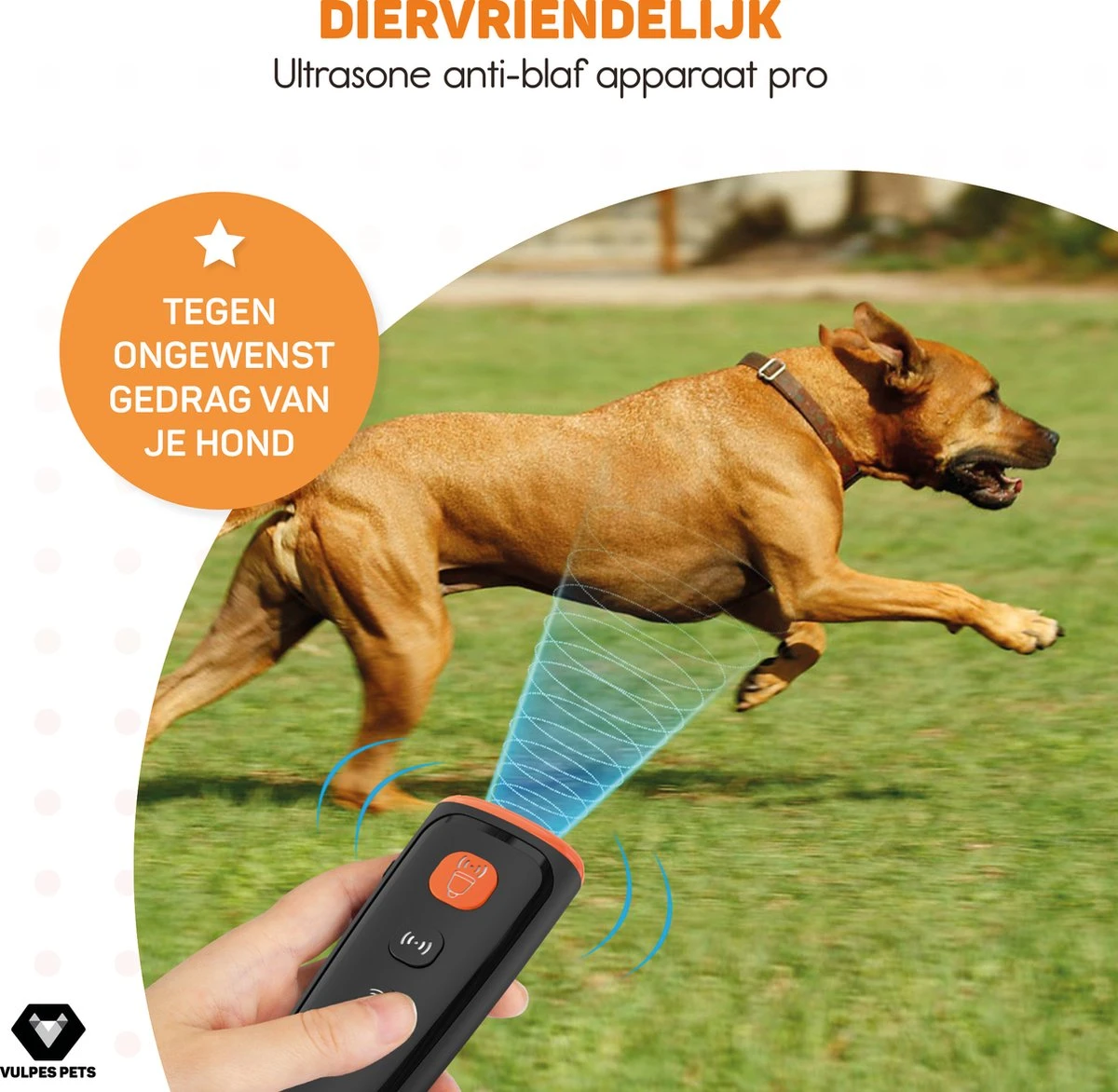 Vulpes Pets® Ultrasone Anti Blaf Apparaat – 3-in-1 Anti Blaf Apparaat Pro - Diervriendelijk & Zonder Schok - Alternatief Anti Blafband - Voor Kleine & Grote Honden - Audio - Flashlight - USB-Oplaadbaar 11 Vulpes Pets® Ultrasone Anti Blaf Apparaat – 3-in-1 Anti Blaf Apparaat Pro - Diervriendelijk & Zonder Schok - Alternatief Anti Blafband - Voor Kleine & Grote Honden - Audio - Flashlight - USB-Oplaadbaar - Afbeelding 11