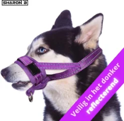 Sharon B Muilkorf Paars Maat M - Fleece - Wasbaar - Reflecterend -Dog Supplies 1200x1173 2