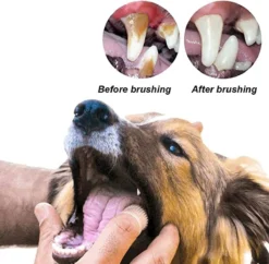Doodadeals® 4 Stuks Siliconen Honden Tandenborstel - Tanden Borstel Hond - Silicone Dog Tootbrush - Multikleur -Dog Supplies 1200x1175 3
