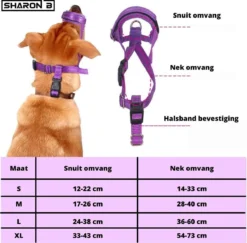 Sharon B Muilkorf Paars Maat M - Fleece - Wasbaar - Reflecterend -Dog Supplies 1200x1179 1