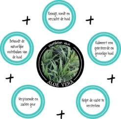 Greenfields Vacht Verzorging Set Voor Honden Shampoo, Conditioner & Droogshampoo -Dog Supplies 1200x1182 1