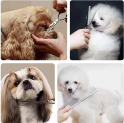 VoordeelShop 7-Delige Huisdier Knipset Met Etui - Trimmen Hond - Honden Schaar - Effileerschaar Hond - Huisdier Trimmer - Huisdier Knippen - Knipschaar Haar - Haar Schaar - Kapper - Kapperset - Scharenset -Dog Supplies 1200x1190 4