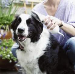 Merkloos HondenFöhn En Borstel - RVS Borstel - Huisdieren - 2 In 1 Hondenföhn -Dog Supplies 1200x1190 5