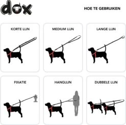 DDOXX Hondenriem Air Mesh, 3-voudig Verstelbaar, 2m | Voor Kleine & Grote Honden | Dubbele Riem Twee Honden Kat Puppy | Tug Leash Large | Lead Leash Small | Walking Leash Puppy Leash | Zwart, XS -Dog Supplies 1200x1191 7