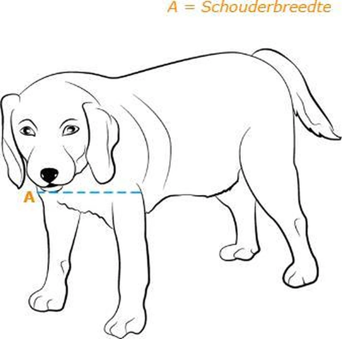 Staywell 620 Hondenluik - Aluminium - Wit 4 Staywell 620 Hondenluik - Aluminium - Wit - Afbeelding 4