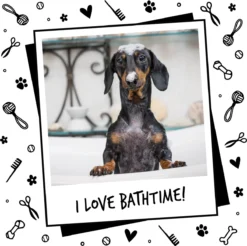 Bugalugs - Hondenshampoo - One In A Million - Alle Vachttypes - Fles Met Pompje - Vegan - 500 Ml -Dog Supplies 1200x1196 7