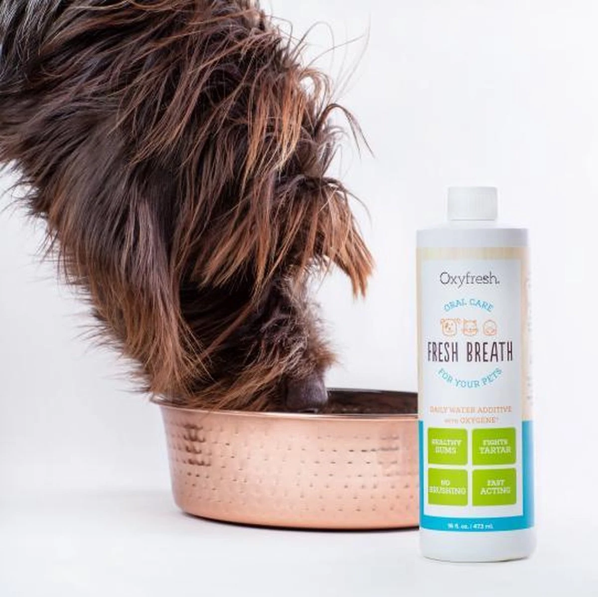 OxyFresh Pet Mondwater Hond En Kat. Helpt Tegen Tandsteen, Plak En Vieze Ademgeurtjes 2 OxyFresh Pet Mondwater Hond En Kat. Helpt Tegen Tandsteen, Plak En Vieze Ademgeurtjes - Afbeelding 2