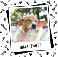 Bugalugs - Hondenshampoo - One In A Million - Alle Vachttypes - Fles Met Pompje - Vegan - 500 Ml -Dog Supplies 1200x1197 7