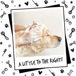 Bugalugs - Hondenshampoo - One In A Million - Alle Vachttypes - Fles Met Pompje - Vegan - 500 Ml -Dog Supplies 1200x1197 9