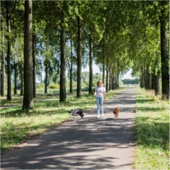 Rebel Petz - Dubbele Verstelbare Hondenriem Voor Twee Honden - Met Draaibare Sluiting En Zacht Handvat - Small En Large - Large (140 Cm Lang, Ø 12 Mm) -Dog Supplies 1200x1199 20